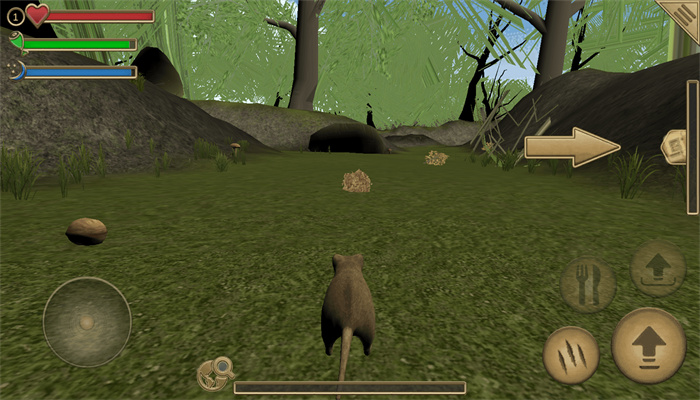 老鼠生存进化模拟器 老鼠生存进化模拟器