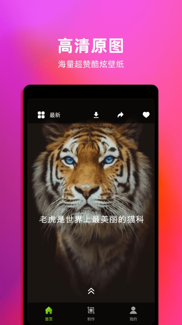 元气桌面电脑版app