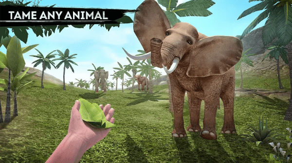 ����鿴��ͼ