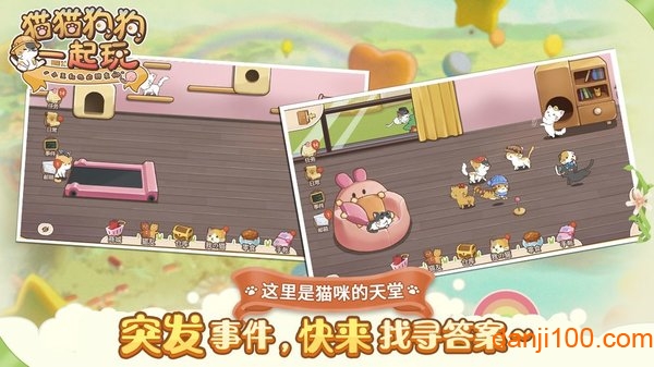 猫猫狗狗一起玩