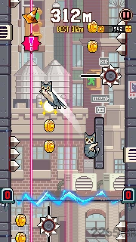 喵星人跳跃cat jump