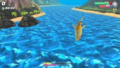 ����������ȫ�����