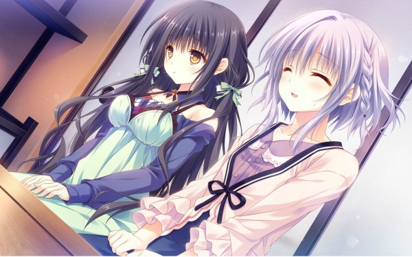 少女领域冷狐版直装下载免费下载