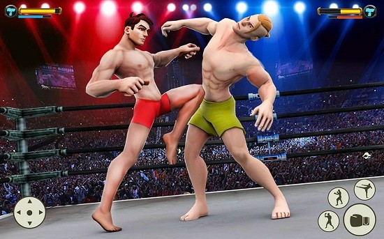 格斗拳击体育馆(Grand Robot Ring Fighting Game)