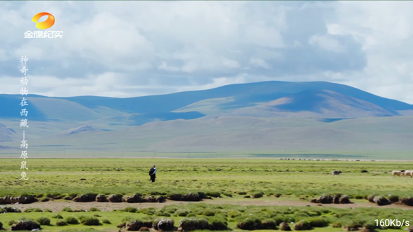 落日TV 电视版v5.5.1