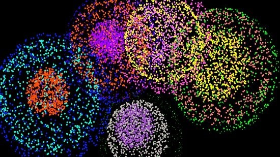 烟火的季节软件2026最新版