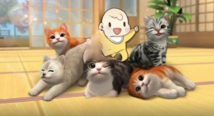 猫咪奇幻世界探险