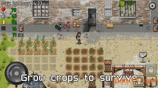 绿洲计划 绿洲计划