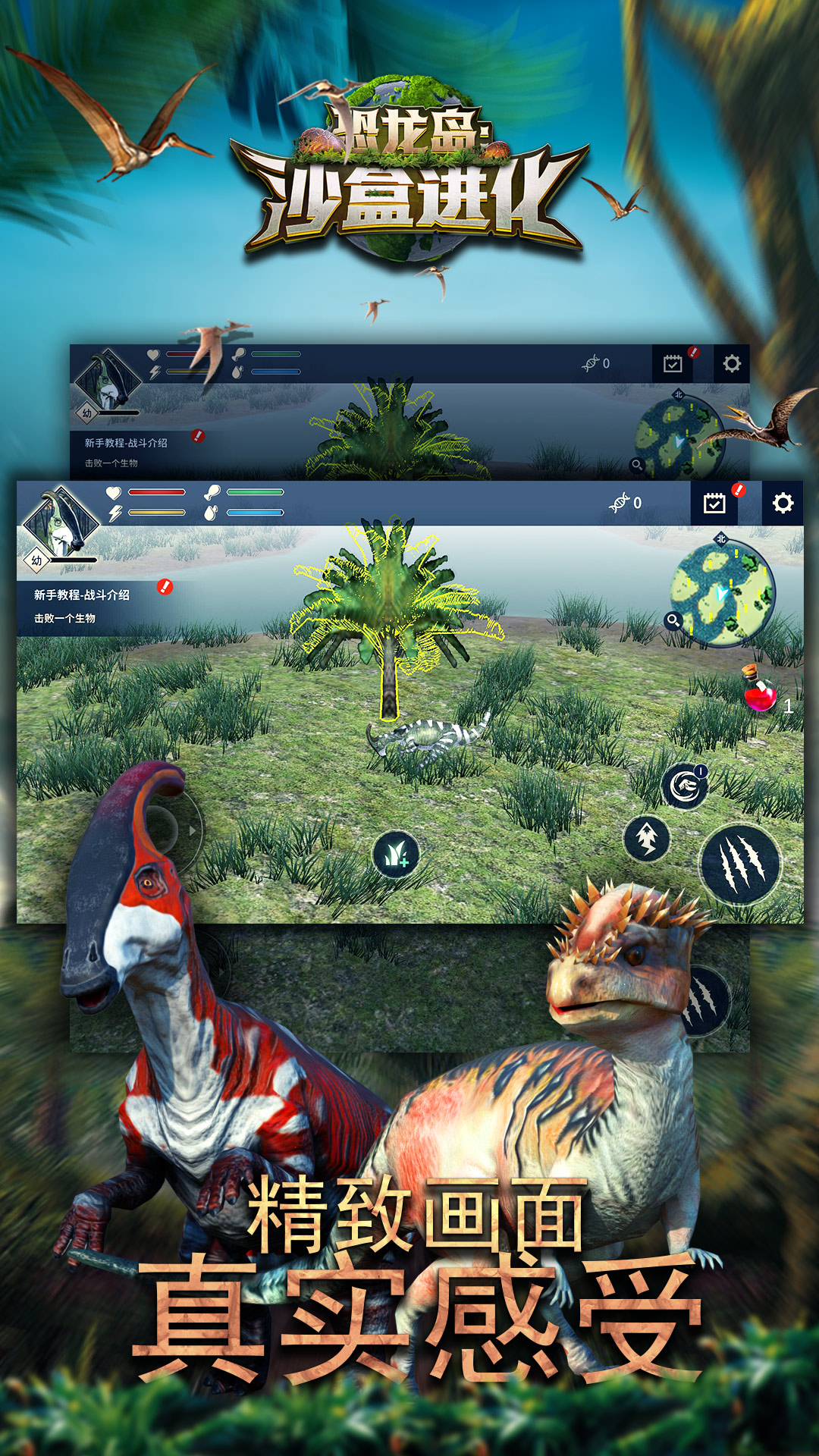 ����鿴��ͼ