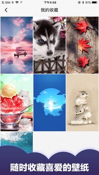 小熊壁纸 小熊壁纸