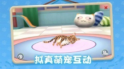 养了个猫 养了个猫