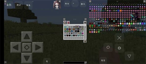 ����鿴��ͼ