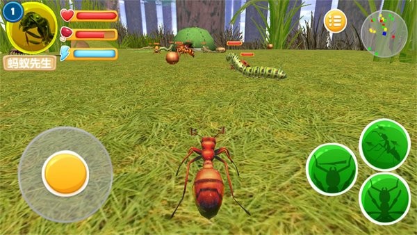 荒野蚂蚁模拟