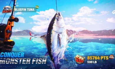 ����鿴��ͼ