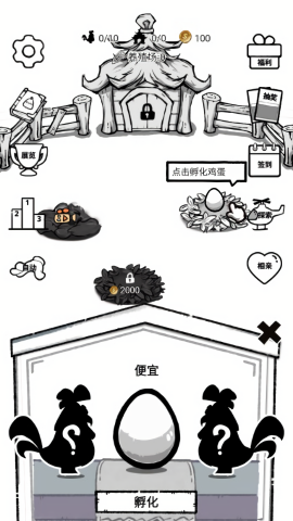 养鸡时长两年半