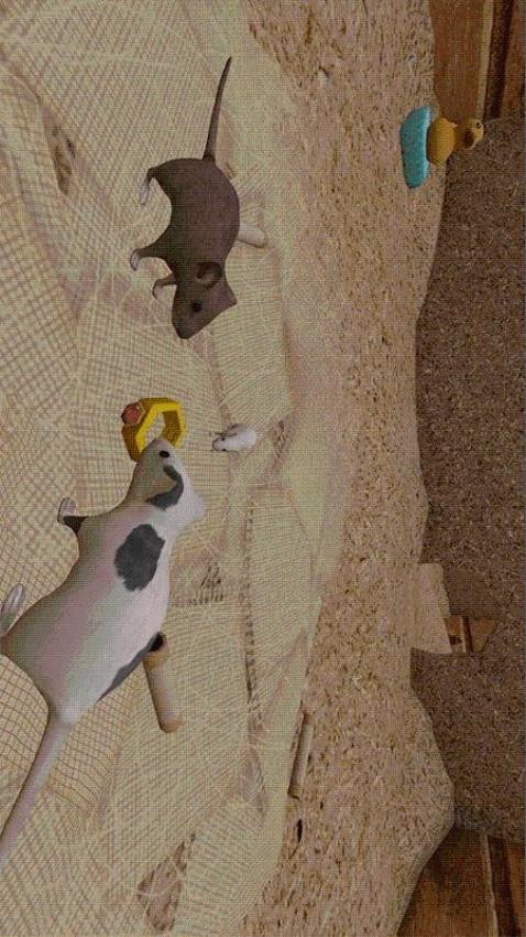 老鼠求生模拟器 老鼠求生模拟器