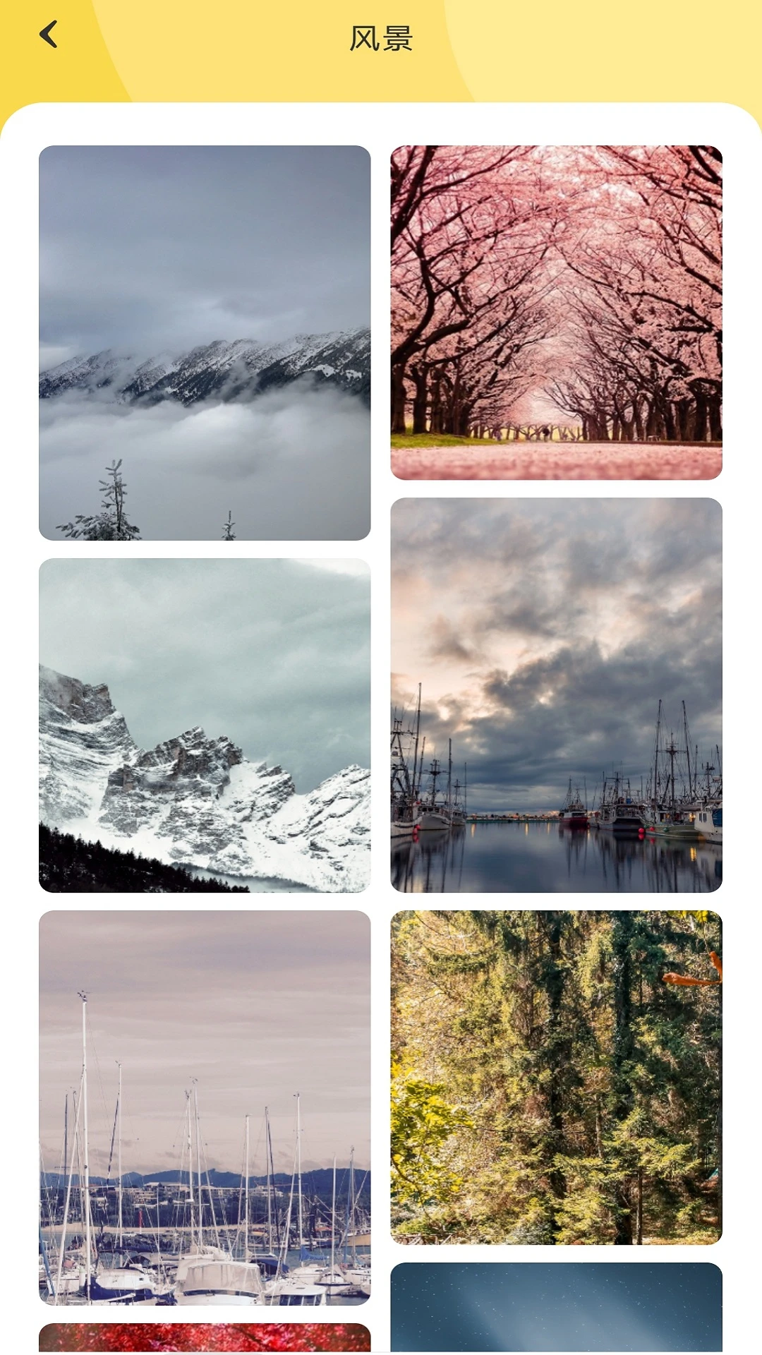 搜图大师官方版2026