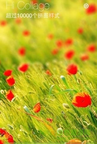 拼贴图片 拼贴图片