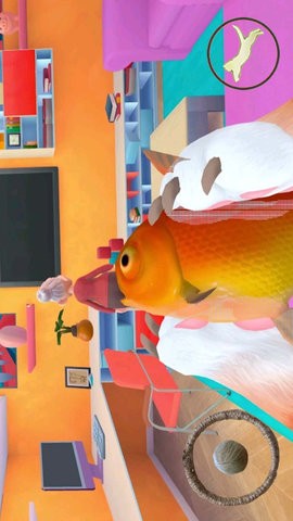 橘猫大冒险 橘猫大冒险