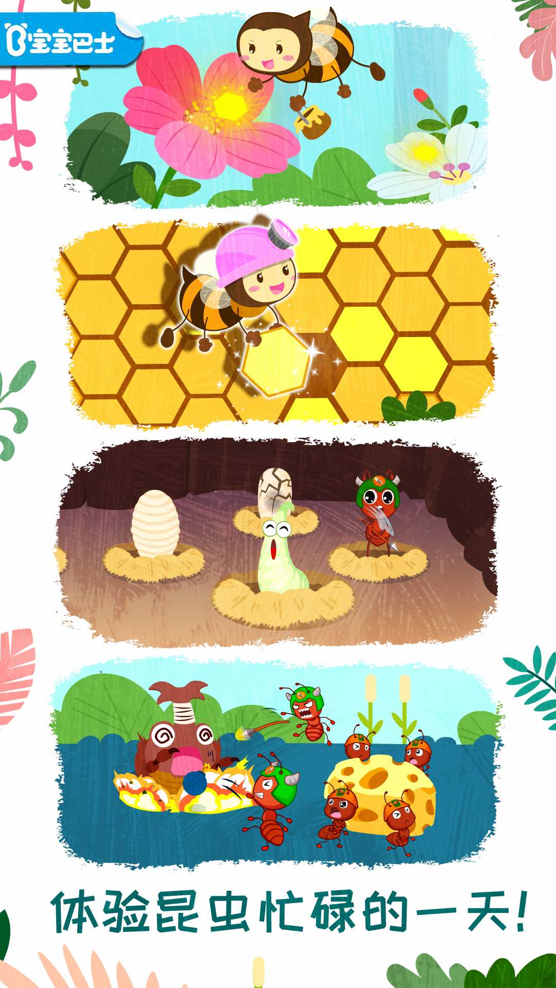 奇妙昆虫世界 奇妙昆虫世界