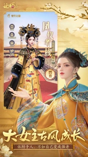 延禧攻略之凤凰于飞正式版