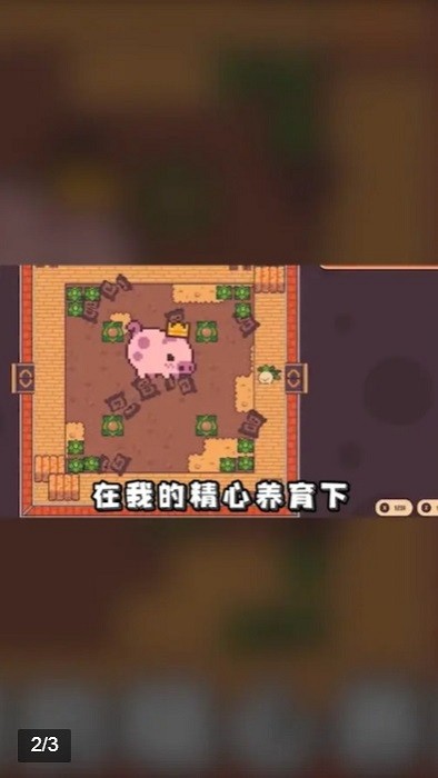 悠闲农场 悠闲农场