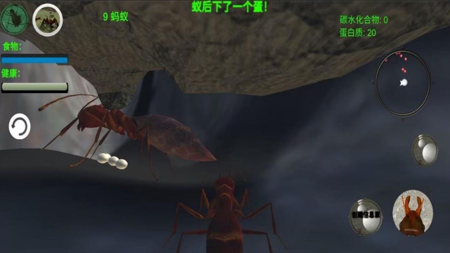 奇妙动物世界探险 奇妙动物世界探险