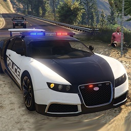 终极自由驾驶软件