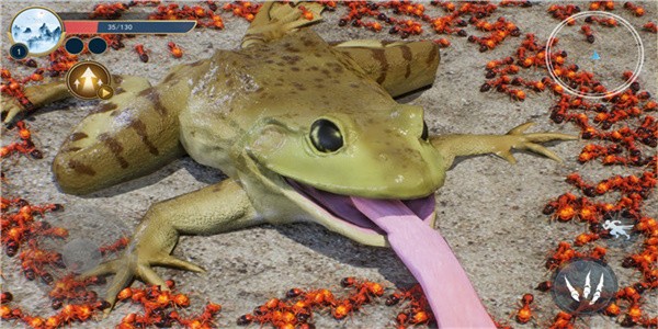 蚂蚁生存日记 蚂蚁生存日记