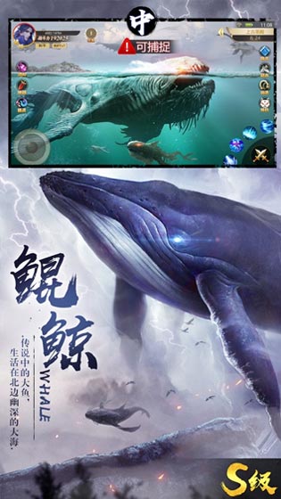 异兽吞噬进化大冒险