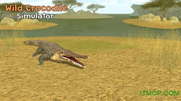 鳄鱼模拟器